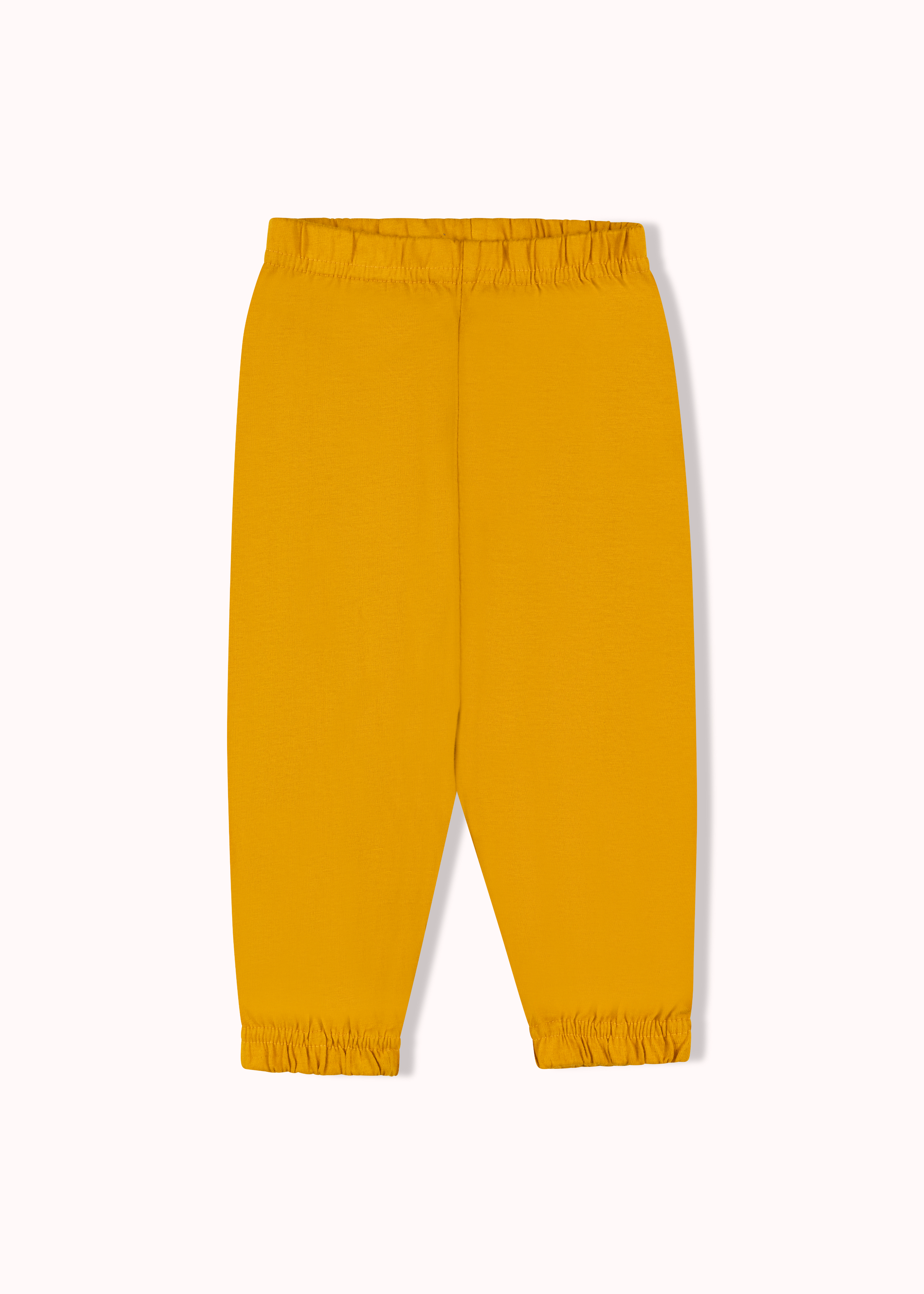 2 pack solid jogger