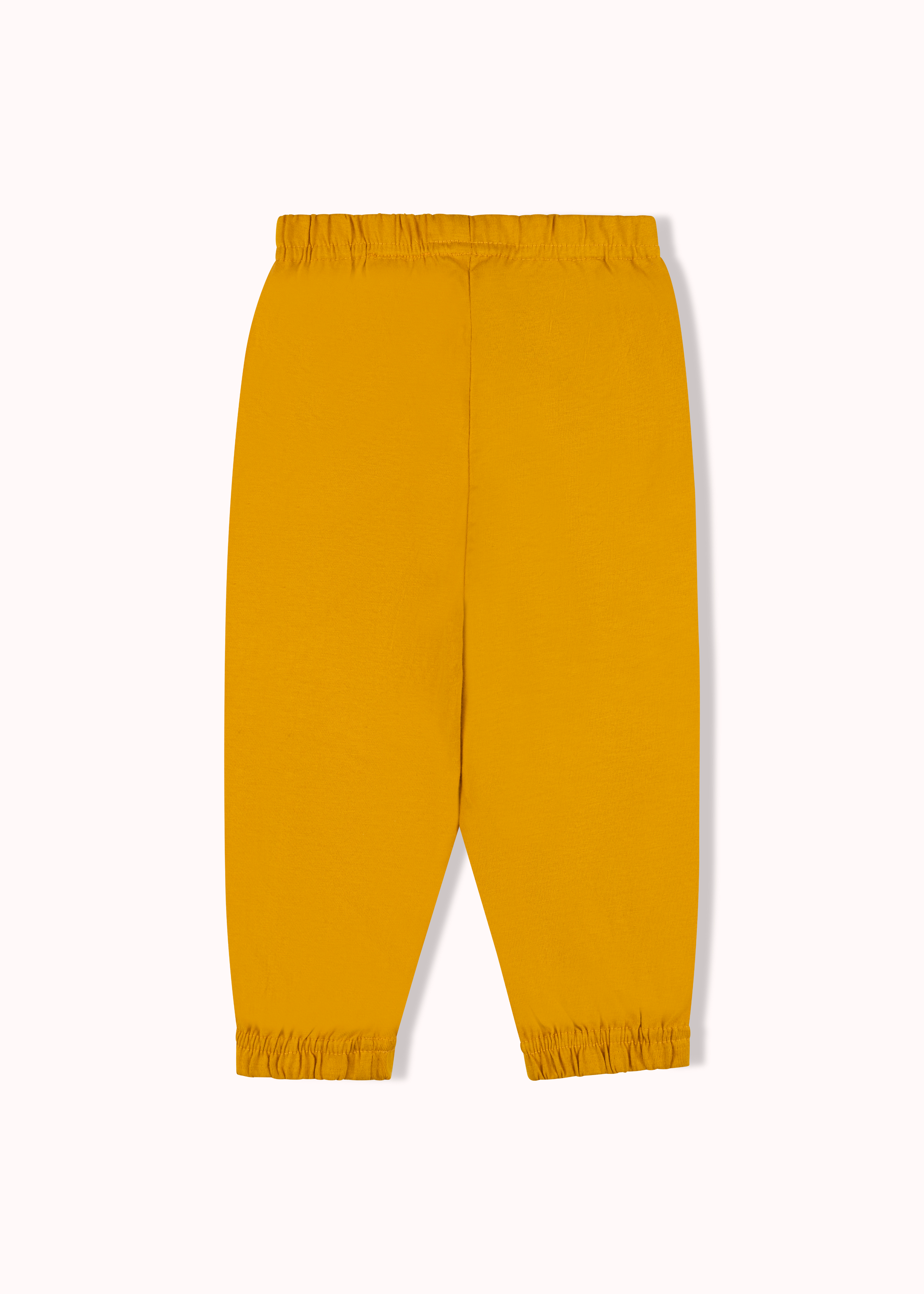2 pack solid jogger