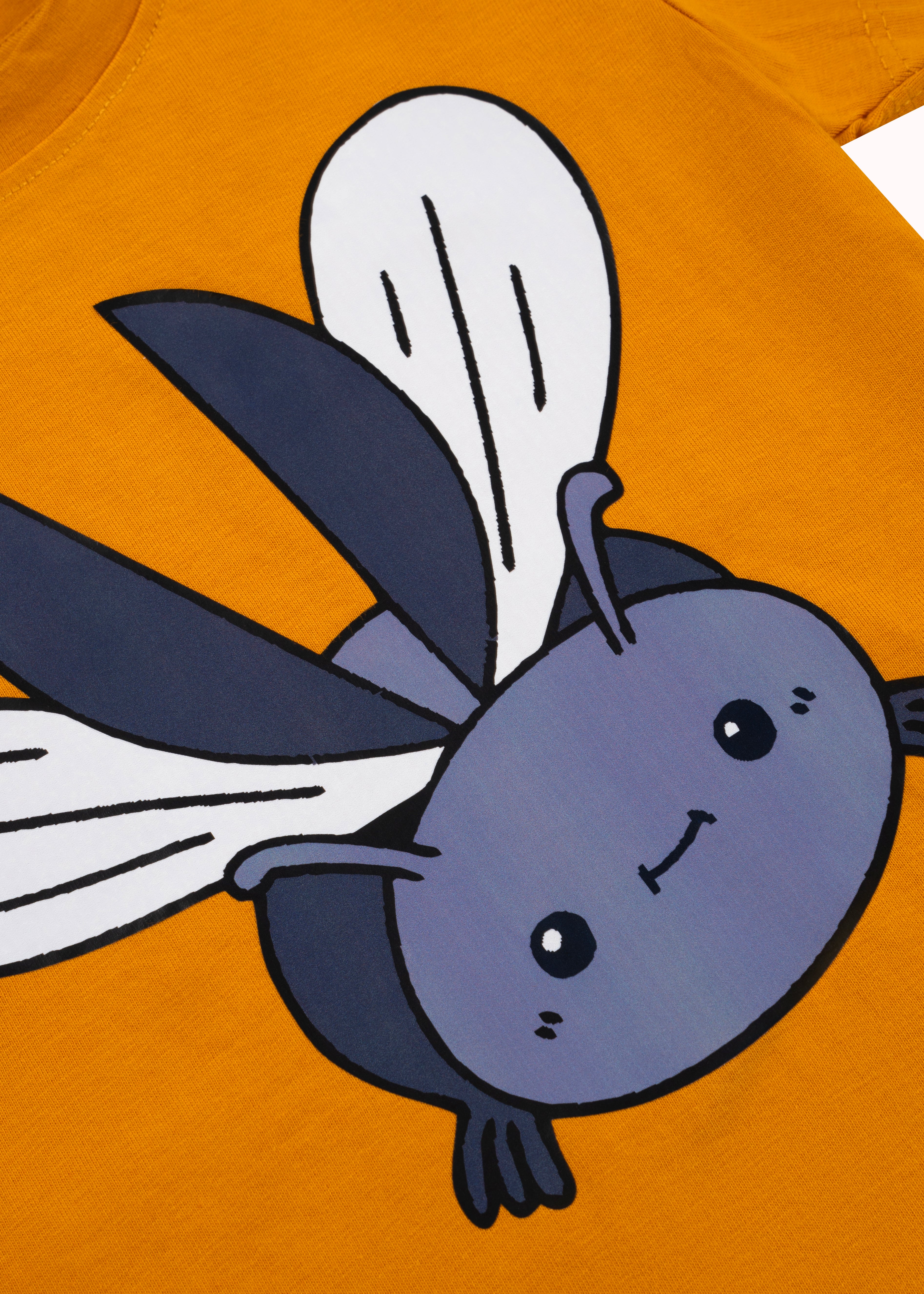 2 Pack printed boys t-shirt